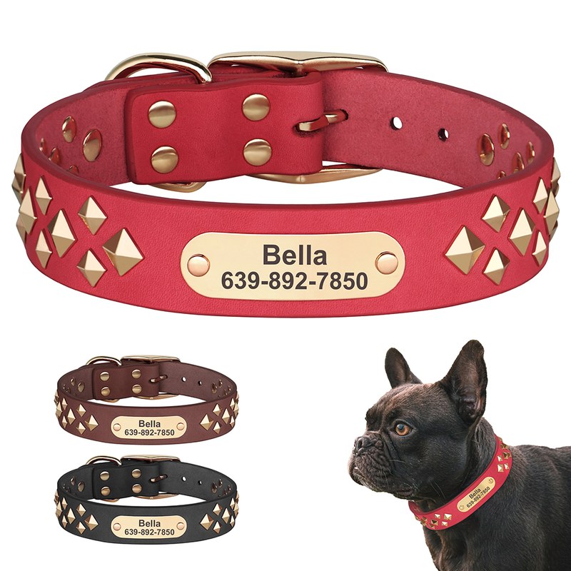 Engraved Leather Dog Collar
