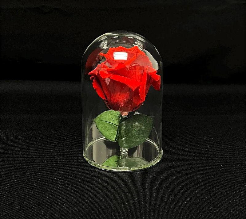 Infinity Rose in Glass Dome